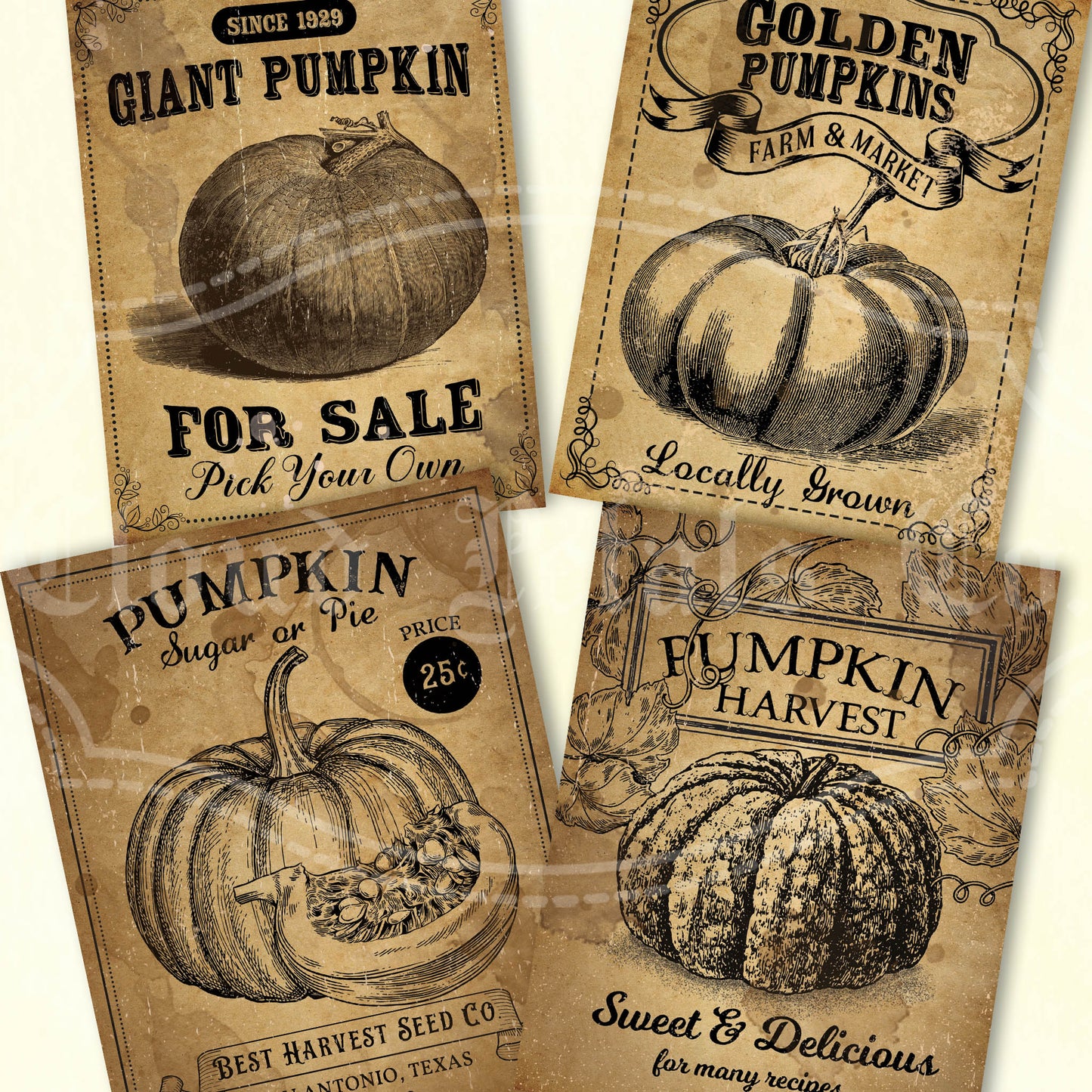 Printable pumpkin labels for fall