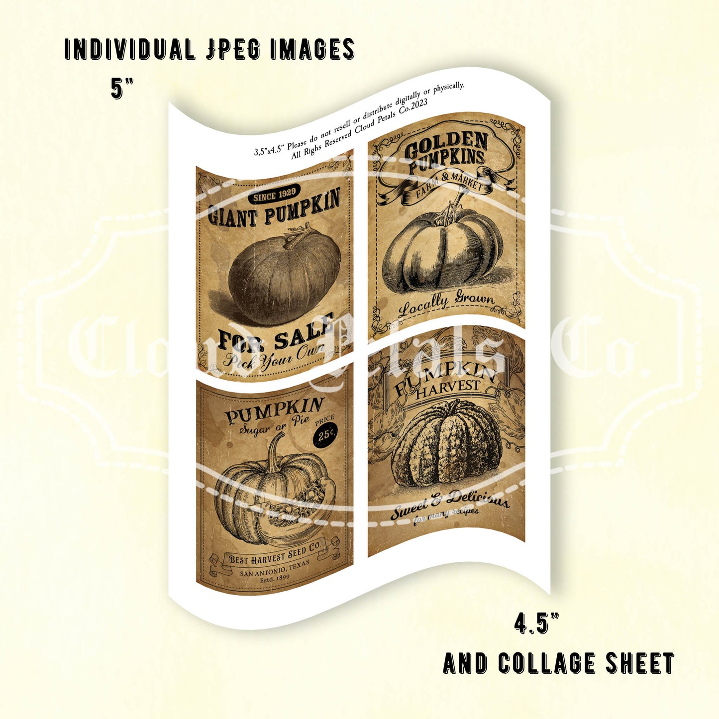 Printable pumpkin labels for fall collage sheet