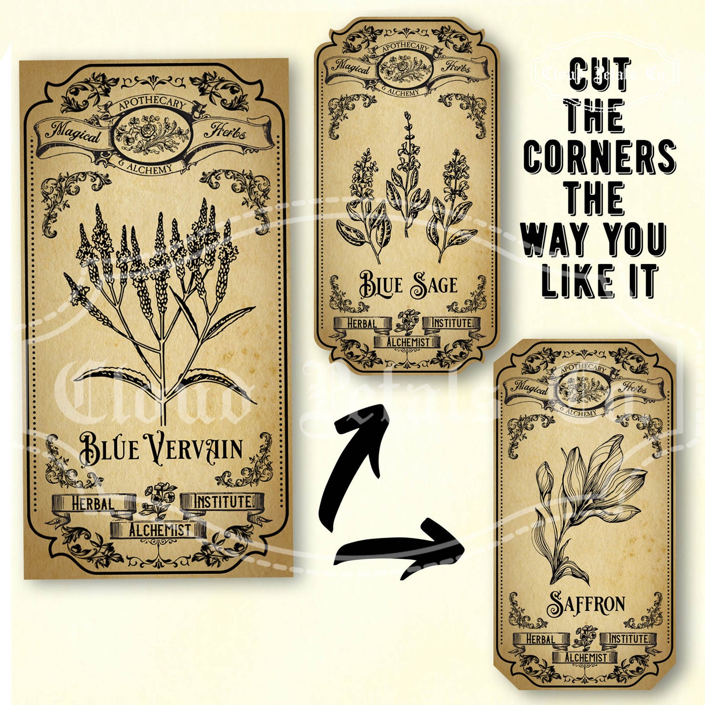 Printable vintage apothecary herb labels