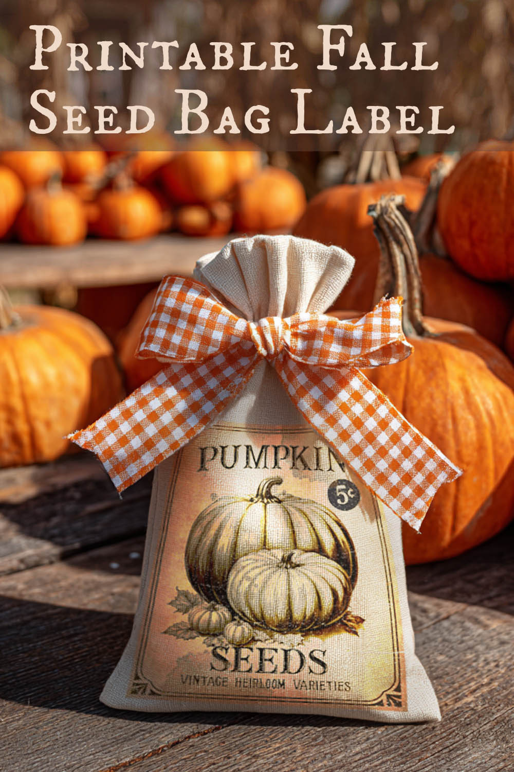 Pumpkin seed bag with a checkered bow on a wooden surface with pumpkins in the background