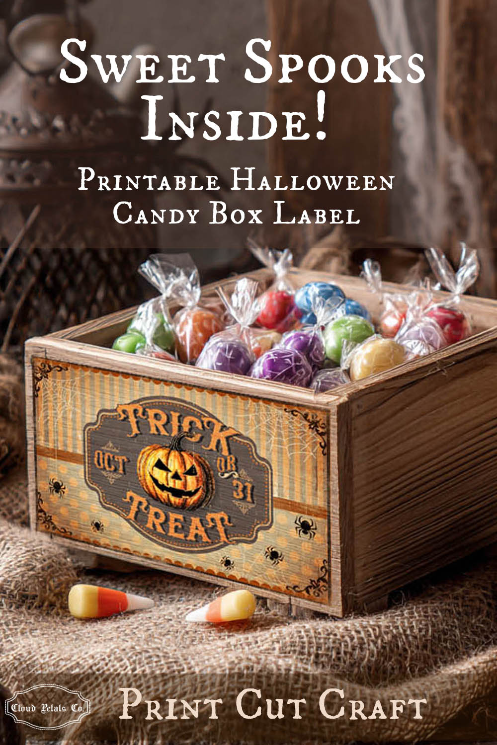 Halloween candy box with 'Trick or Treat' label filled with wrapped candies on a rustic background.