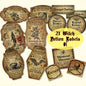 Halloween witch potion labels with cauldron, bats, banshee, nightshade