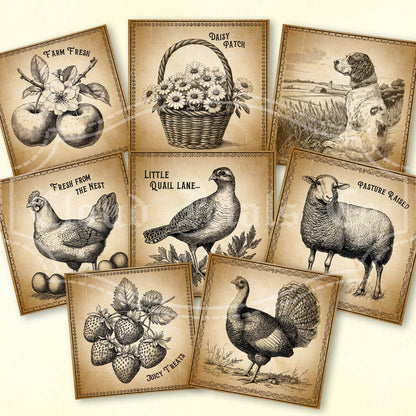 Printable farm animals and fruits tags