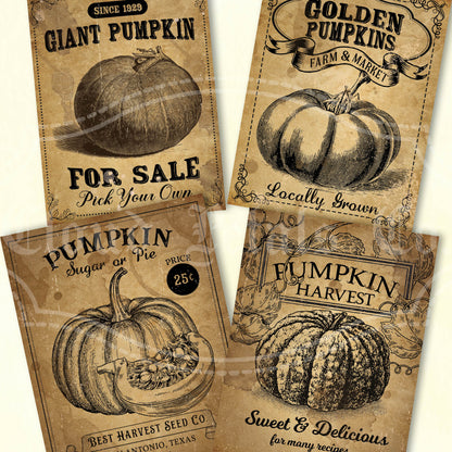 Printable pumpkin labels for fall