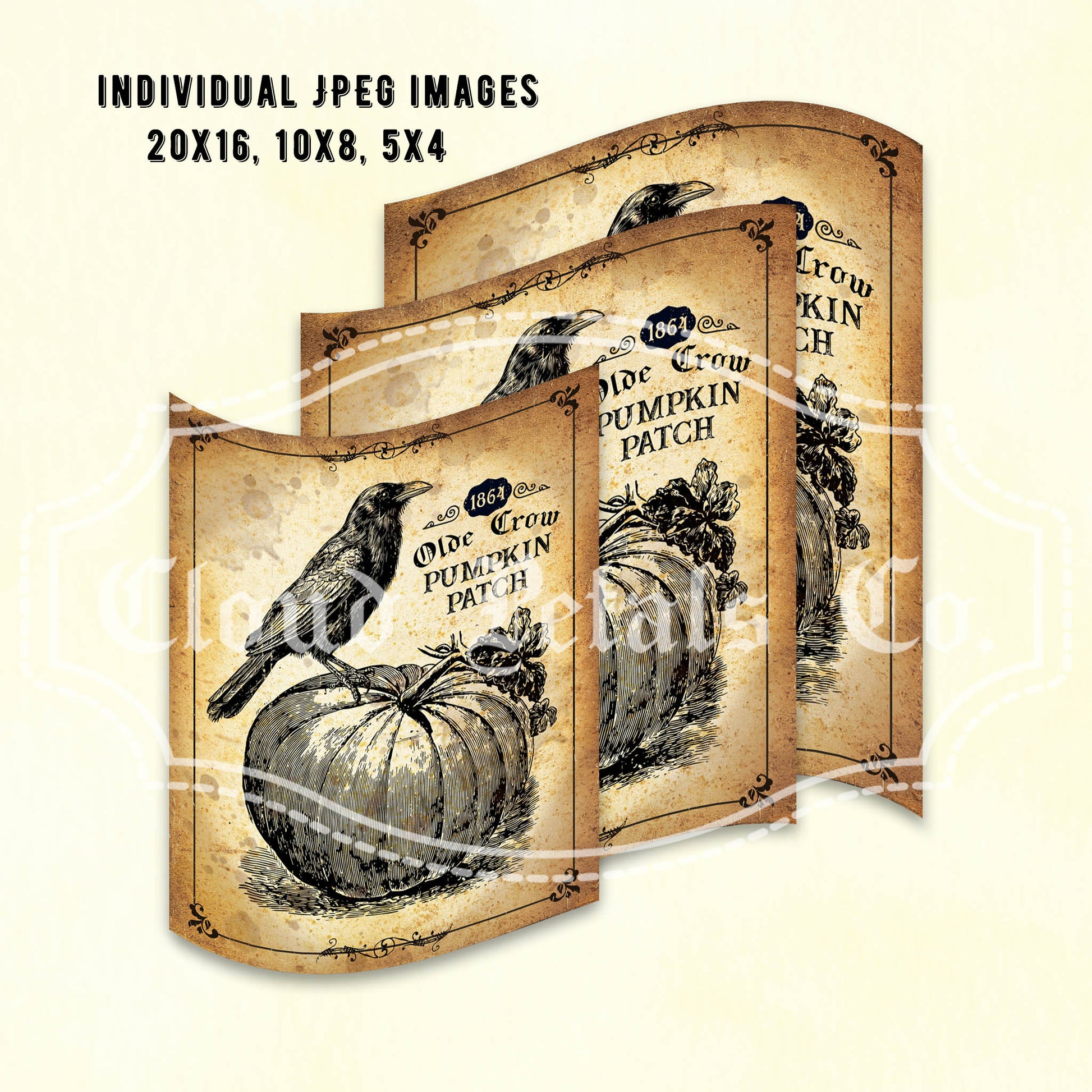 vintage halloween pumpkin drawing