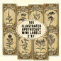 Vintage witchcraft apothecary labels with botanical illustrations on a beige background.