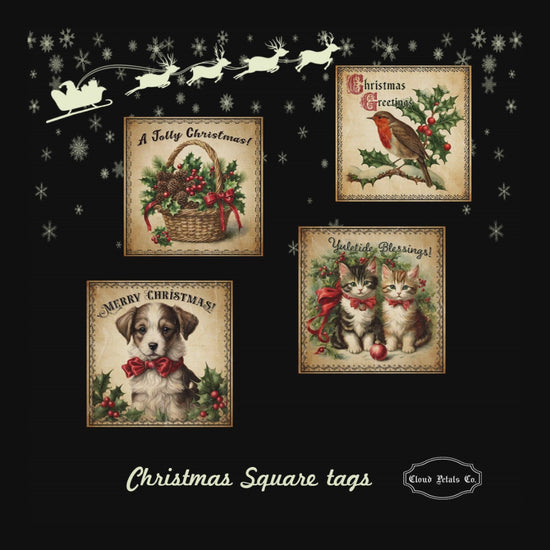 Video of christmas squares