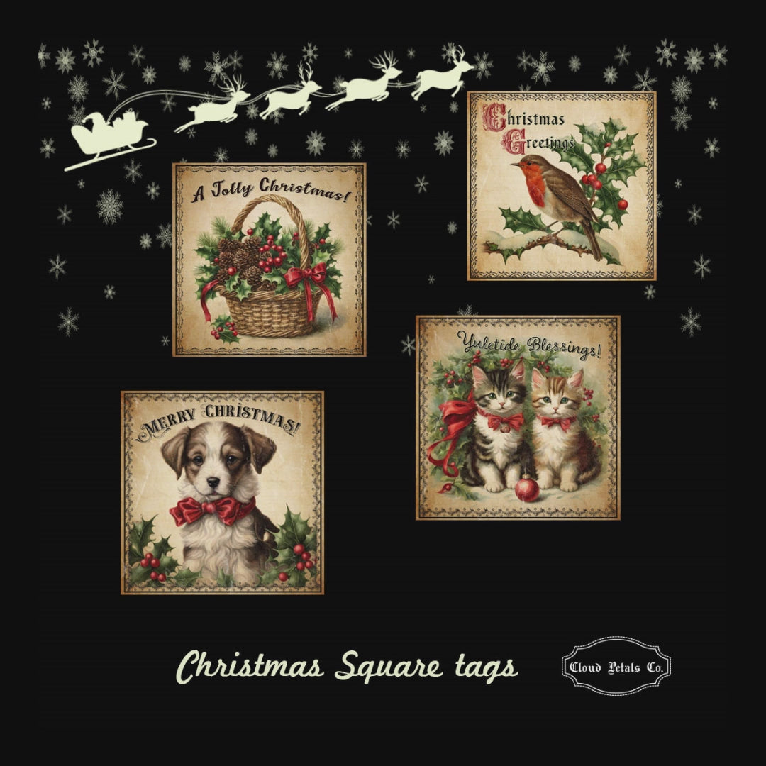 Video of christmas squares