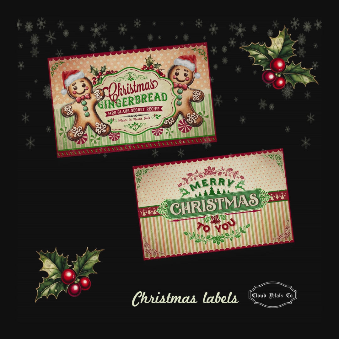 video of gingerbreadman, christmas labels, santa's cookies and candy canes labels
