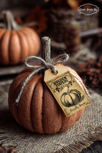 Small pumpkin with a Golden Pumpkin decorative tag on a rustic surface